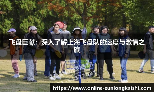 飞盘巨献：深入了解上海飞盘队的速度与激情之旅